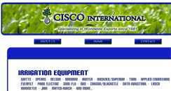 Desktop Screenshot of ciscointl.com